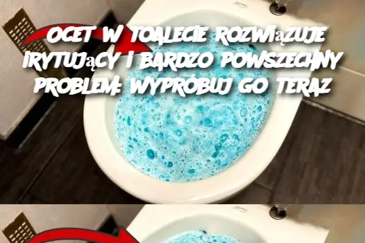 Ocet w toalecie rozwiązuje irytujący i bardzo powszechny problem: wypróbuj go teraz