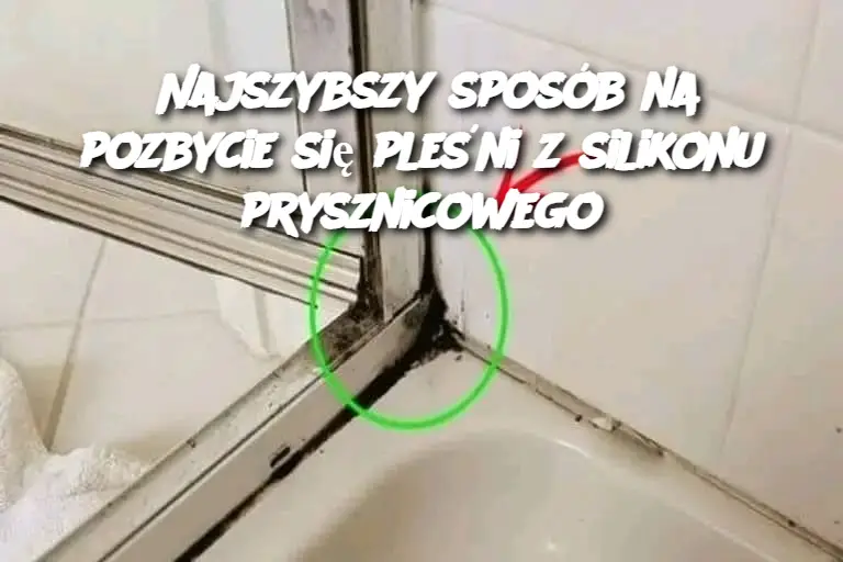 Najszybszy sposób na pozbycie się pleśni z silikonu prysznicowego