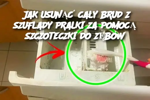 JAK USUNĄĆ CAŁY BRUD Z SZUFLADY PRALKI ZA POMOCĄ SZCZOTECZKI DO ZĘBÓW