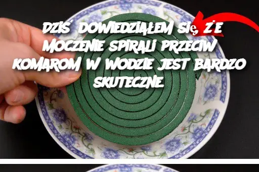 Dziś dowiedziałem się, że moczenie spirali przeciw komarom w wodzie jest bardzo skuteczne.