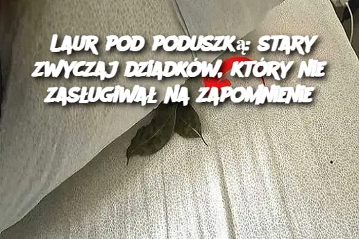 Laur pod poduszką: stary zwyczaj dziadków, który nie zasługiwał na zapomnienie