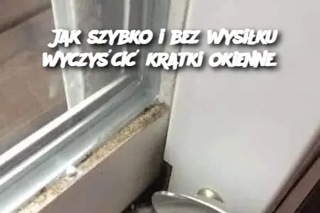 Jak szybko i bez wysiłku wyczyścić kratki okienne.