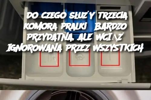 Do czego służy trzecia komora pralki? BARDZO PRZYDATNA, ALE WCIĄŻ IGNOROWANA PRZEZ WSZYSTKICH