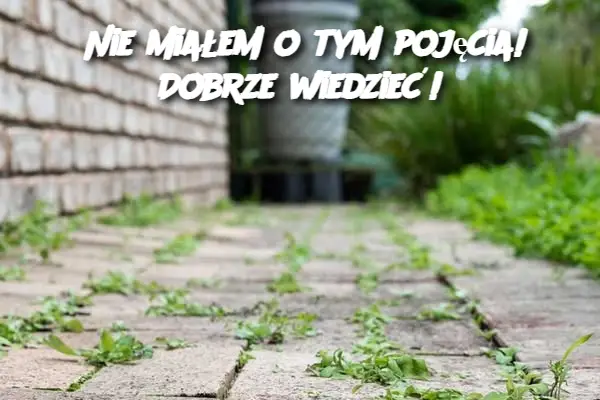 Nie miałem o tym pojęcia! Dobrze wiedzieć!