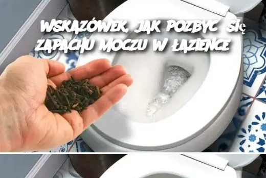 5 wskazówek, jak pozbyć się zapachu moczu w łazience