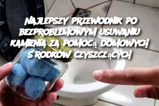 Najlepszy przewodnik po bezproblemowym usuwaniu kamienia za pomocą domowych środków czyszczących