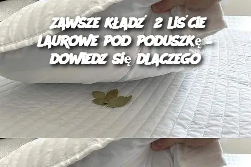 Zawsze kładź 2 liście laurowe pod poduszkę – dowiedz się dlaczego