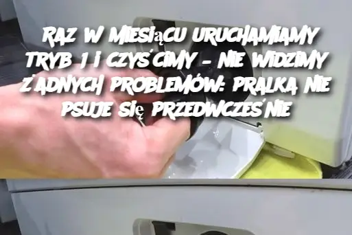 Raz w miesiącu uruchamiamy tryb 1 i czyścimy – nie widzimy żadnych problemów: pralka nie psuje się przedwcześnie