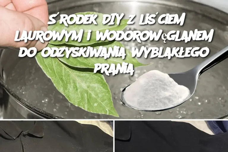 Środek DIY z liściem laurowym i wodorowęglanem do odzyskiwania wyblakłego prania