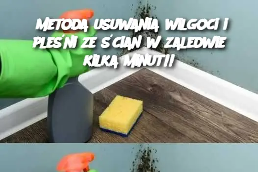 Metoda usuwania wilgoci i pleśni ze ścian w zaledwie kilka minut!!