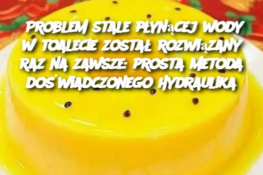 Problem stale płynącej wody w toalecie został rozwiązany raz na zawsze: prosta metoda doświadczonego hydraulika