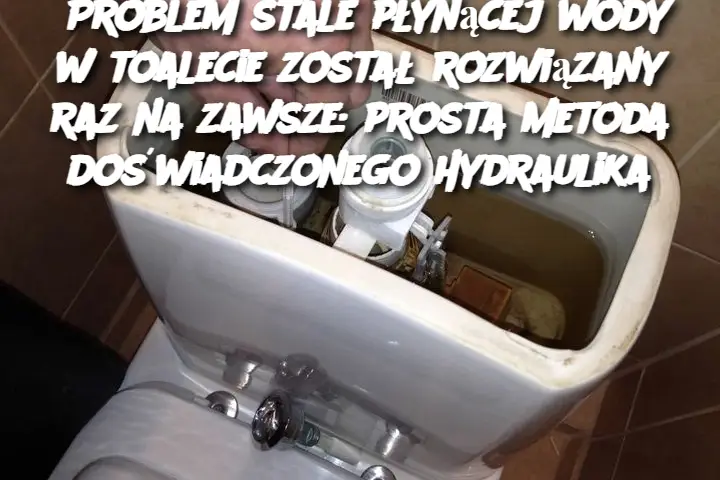 Problem stale płynącej wody w toalecie został rozwiązany raz na zawsze: prosta metoda doświadczonego hydraulika