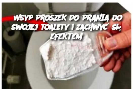 Wsyp PROSZEK DO PRANIA do swojej toalety i zachwyć się EFEKTEM