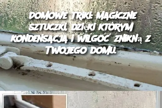 Domowe triki: Magiczne sztuczki, dzięki którym kondensacja i wilgoć znikną z Twojego domu.