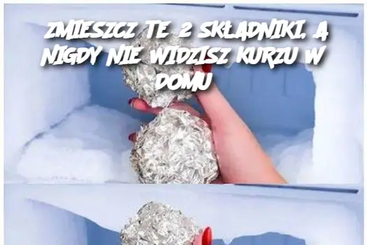 ZMIESZCZ TE 2 SKŁADNIKI, A NIGDY NIE WIDZISZ KURZU W DOMU