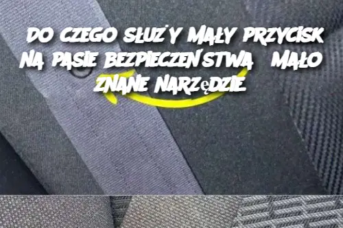 Do czego służy mały przycisk na pasie bezpieczeństwa? Mało znane narzędzie.