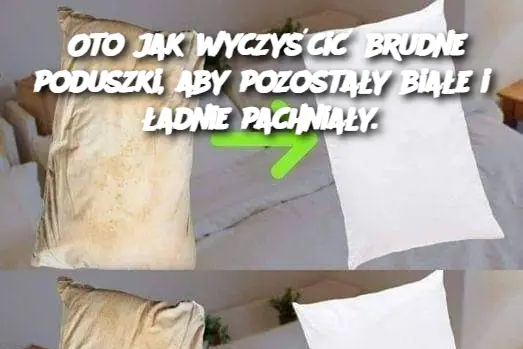 Oto jak wyczyścić brudne poduszki, aby pozostały białe i ładnie pachniały.