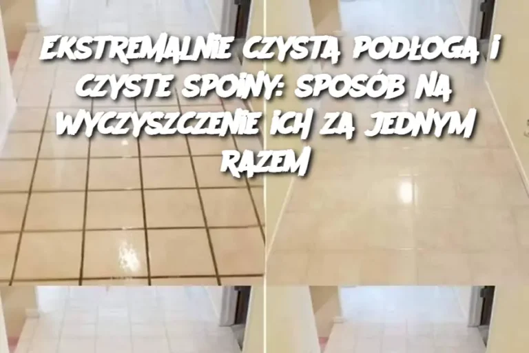 Ekstremalnie czysta podłoga i czyste spoiny: sposób na wyczyszczenie ich za jednym razem