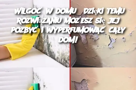 Wilgoć w domu? Dzięki temu rozwiązaniu możesz się jej pozbyć i wyperfumować cały dom!