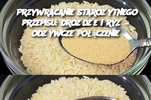 Przywracanie starożytnego przepisu: drożdże i ryż – odżywcze połączenie