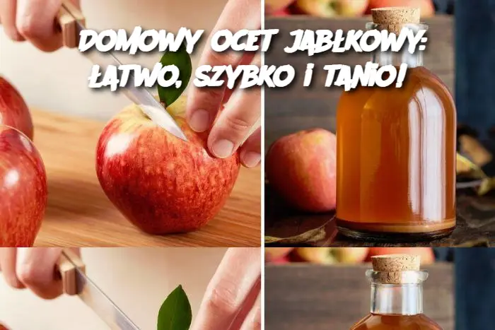 Domowy ocet jabłkowy: łatwo, szybko i tanio!