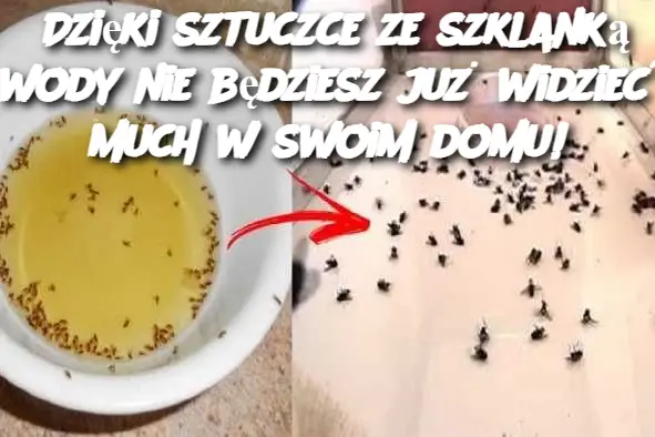 Dzięki sztuczce ze szklanką wody nie będziesz już widzieć much w swoim domu!