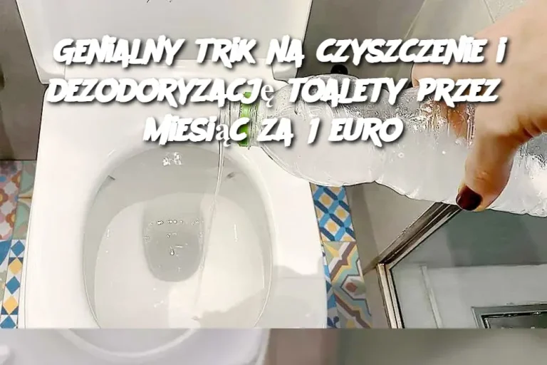 Genialny trik na czyszczenie i dezodoryzację toalety przez miesiąc za 1 euro