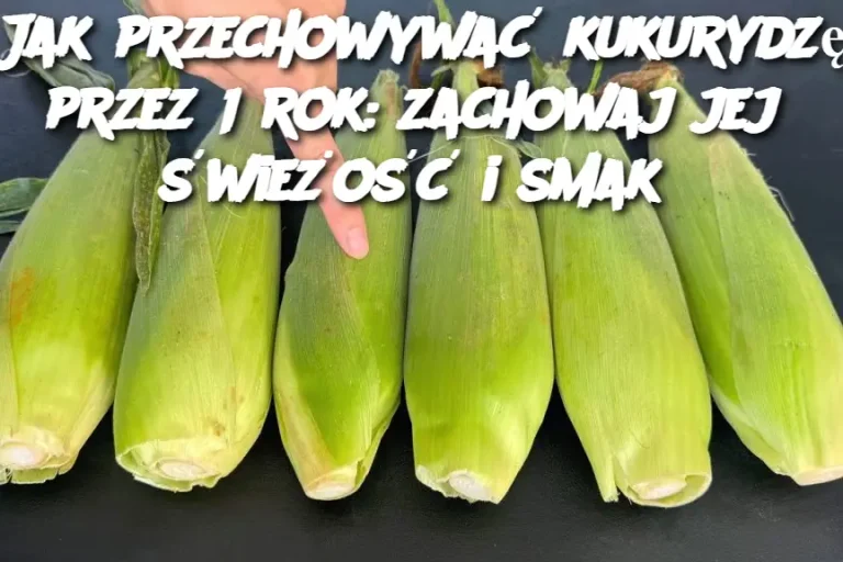 Jak przechowywać kukurydzę przez 1 rok: zachowaj jej świeżość i smak