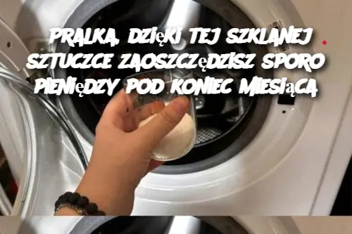 Pralka, dzięki tej szklanej sztuczce zaoszczędzisz sporo pieniędzy pod koniec miesiąca