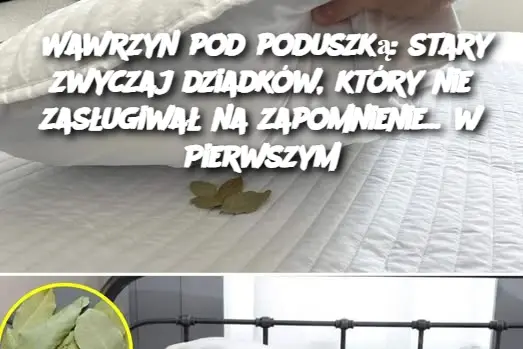 Wawrzyn pod poduszką: stary zwyczaj dziadków, który nie zasługiwał na zapomnienie... w Pierwszym