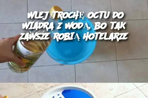 WLEJ TROCHĘ OCTU DO WIADRA Z WODĄ, BO TAK ZAWSZE ROBIĄ HOTELARZE