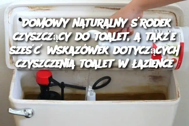 Domowy naturalny środek czyszczący do toalet, a także sześć wskazówek dotyczących czyszczenia toalet w łazience