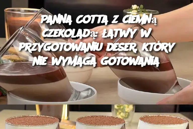 Panna Cotta z ciemną czekoladą: łatwy w przygotowaniu deser, który nie wymaga gotowania