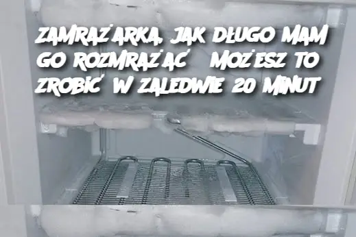 Zamrażarka, jak długo mam go rozmrażać? Możesz to zrobić w zaledwie 20 minut