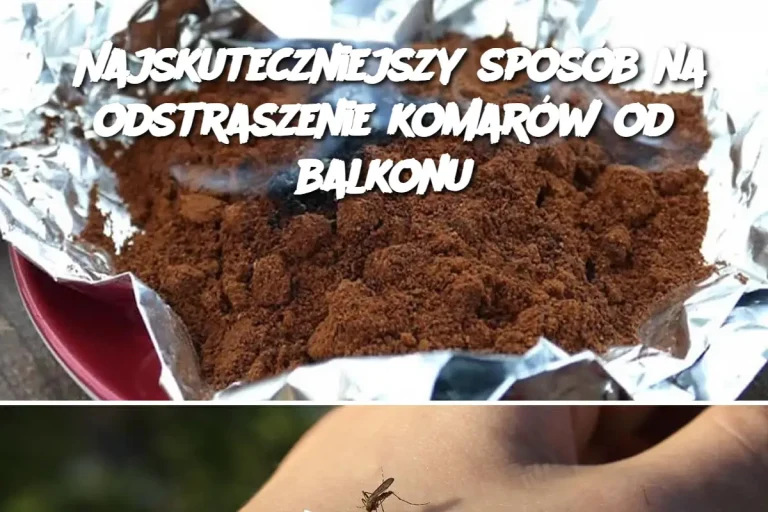 Najskuteczniejszy sposób na odstraszenie komarów od balkonu