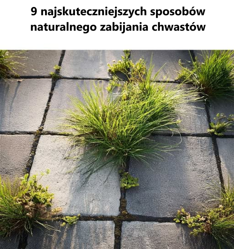 Ojej, nie wiedziałem tego!