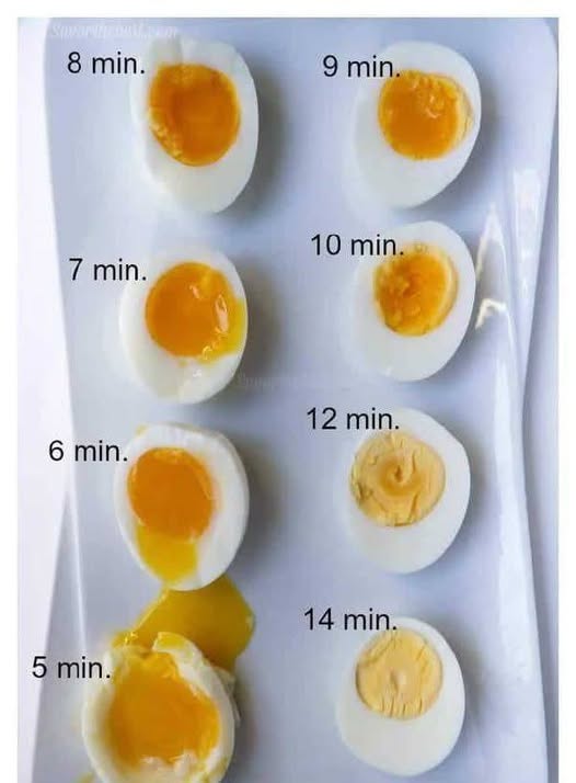 Perfekcyjne Jajka na Twardo: Sekrety Czasu i Techniki Gotowania