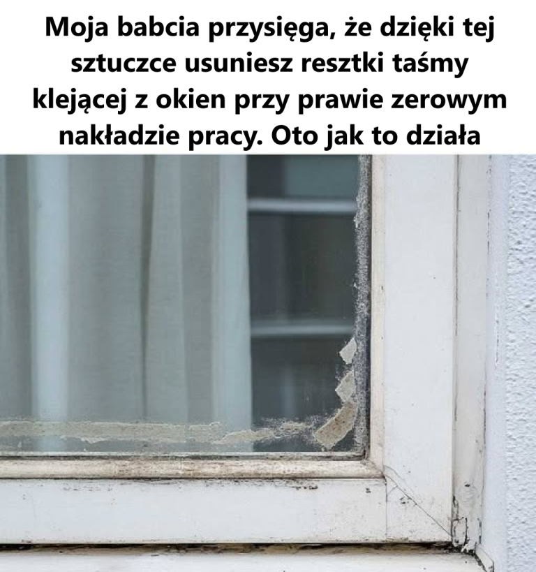 Zawsze się udaje!