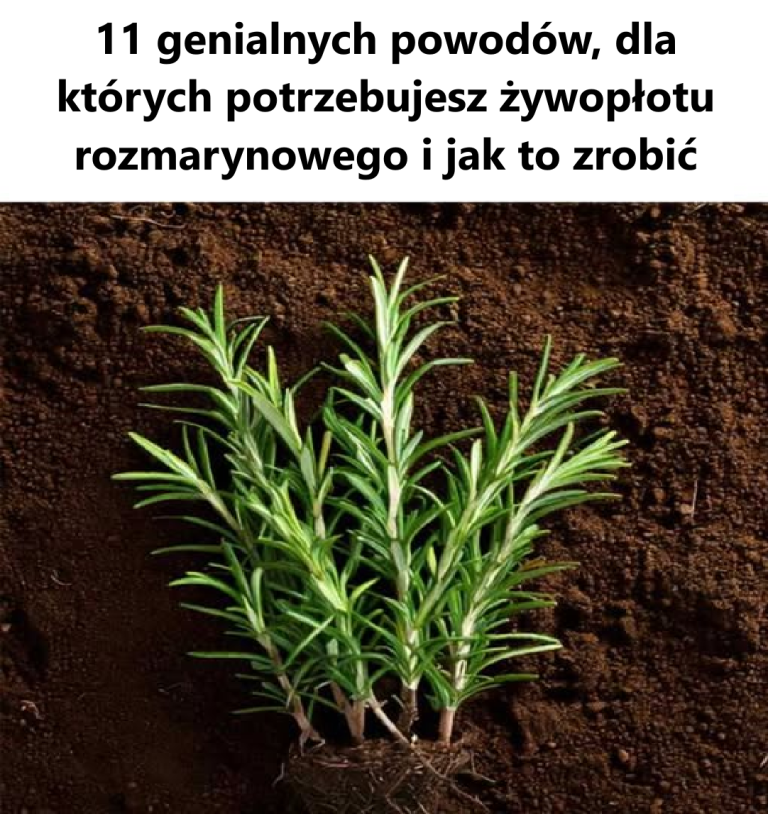 Nie miałem pojęcia!