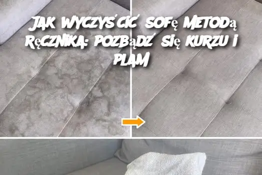 Jak wyczyścić sofę metodą ręcznika: pozbądź się kurzu i plam