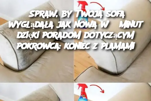 Spraw, by Twoja sofa wyglądała jak nowa w 5 minut dzięki poradom dotyczącym pokrowca: koniec z plamami