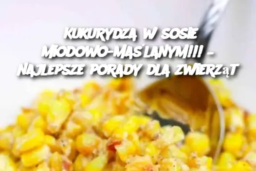 Kukurydza w sosie miodowo-maślanym!!! – najlepsze porady dla zwierząt