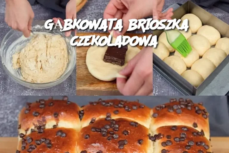 GĄBKOWATA BRIOSZKA CZEKOLADOWA