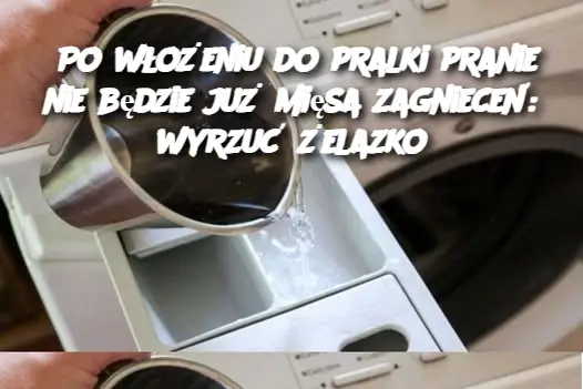 Po włożeniu do pralki pranie nie będzie już mięsa zagnieceń: wyrzuć żelazko