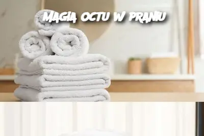 Magia octu w praniu