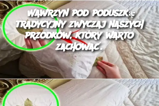 Wawrzyn pod poduszką: tradycyjny zwyczaj naszych przodków, który warto zachować.