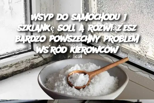 Wsyp do samochodu 1 szklankę soli, a rozwiążesz bardzo powszechny problem wśród kierowców