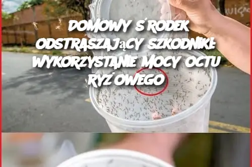 Domowy środek odstraszający szkodniki: wykorzystanie mocy octu ryżowego