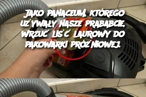 Jako panaceum, którego używały nasze prababcie, wrzuć liść laurowy do pakowarki próżniowej.