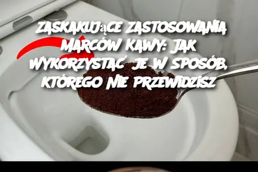 Zaskakujące Zastosowania Marców Kawy: Jak Wykorzystać je w Sposób, którego Nie Przewidzisz